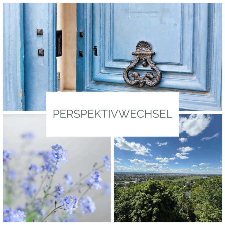 Eine blaue leicht geöffnete Tür, ein Vergissmeinnicht, Landschaft und Himmel mit Wolken und dem Coaching für Perspektivwechsel